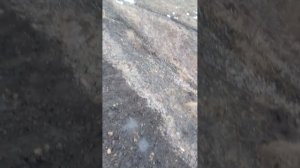 Репьевский район. Видео-обзор хутор Потоловка 27 февраля 2023 года
