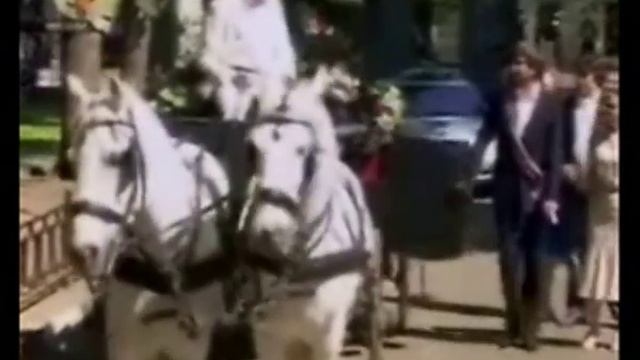 виноград клип к сериалу не родись красивой смотреть онлайн
