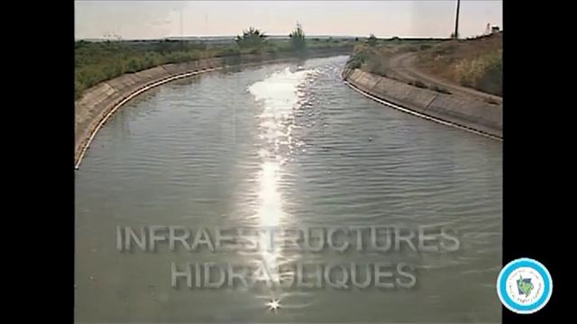 Total DVD PAL Large] смотреть онлайн