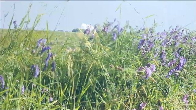 На пять минут в лето! смотреть онлайн