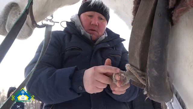 Шәп егет. 1 бүлек смотреть онлайн