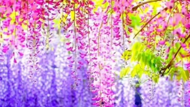 С ЧИСТОГО ЛИСТА Авторская песня ?(РЭП)? смотреть онлайн