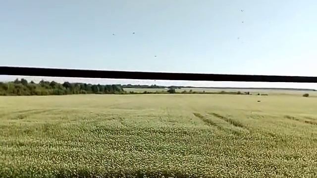 Пасека на гречихе! смотреть онлайн