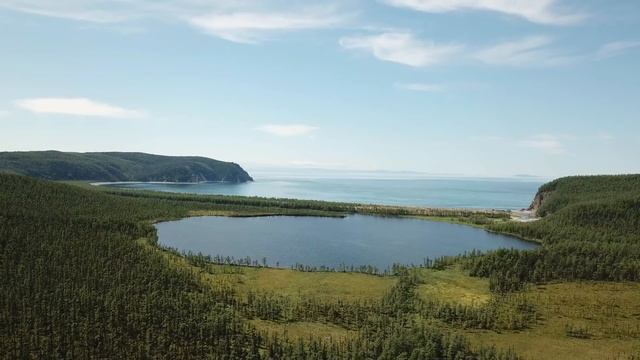 Дикие кабаны втаптывали девочку в землю, как вдруг смотреть онлайн