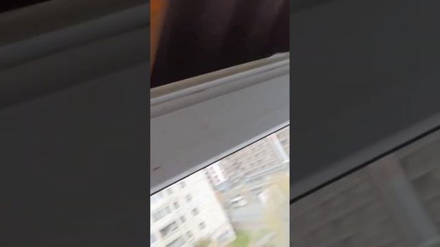 на балконе течёт потолок смотреть онлайн