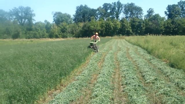 Косить мотоблоком смотреть онлайн