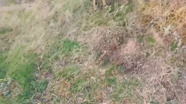 Гуляем под дождем.Ответ на комментарий о моих 