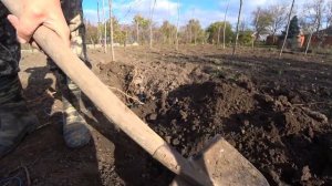 Укрытие винограда на зиму, 2 способа