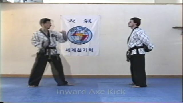 Hapkido Vol1-1