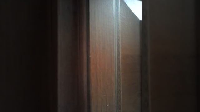 Дневной сон малышей смотреть онлайн