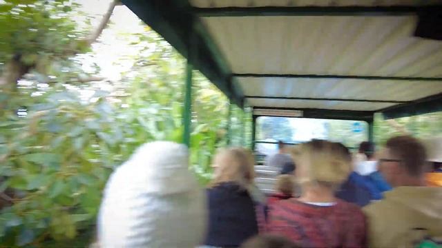 ЭКЗОТИЧЕСКИЕ ФРУКТЫ смотреть онлайн