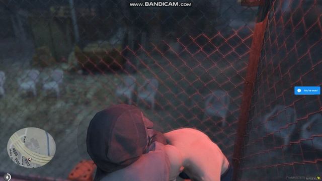 AIMGAME на FiveM в GTA V  Alfa Test