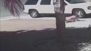 КОШКИ СПАСАЮТ ЛЮДЕЙ