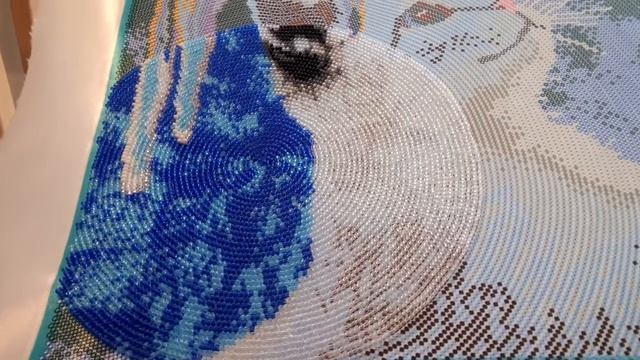 Сп "В Мире животных" отчет2 "Котенок и сосульки"!!! смотреть онлайн