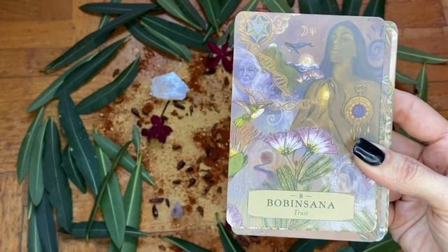 ?The Herbal Astrology Oracle by Adriana Ayales e Josephine Klerks? смотреть онлайн