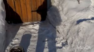 снег растает быстрее!