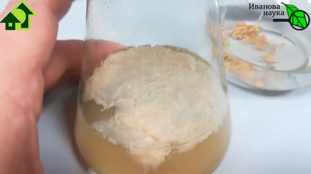 ЗАЧЕМ ПОКУПАТЬ, ЕСЛИ МОЖНО... НЕ ПОКУПАТЬ! Наращиваем сенную палочку: от заселения до использования смотреть онлайн