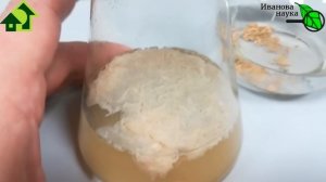 ЗАЧЕМ ПОКУПАТЬ, ЕСЛИ МОЖНО... НЕ ПОКУПАТЬ! Наращиваем сенную палочку: от заселения до использования