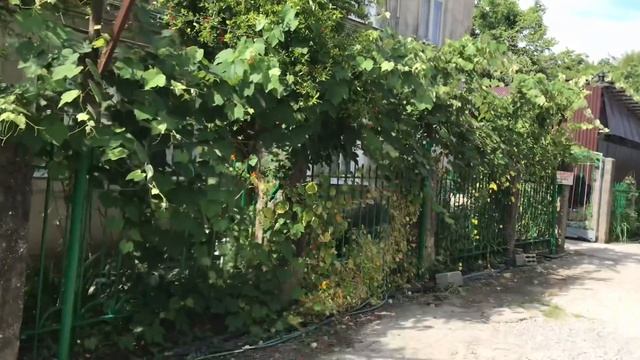 АБХАЗИЯ / Мои первые впечатления // 1ый день / Новый Афон смотреть онлайн