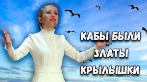 Кабы были златы крылышки. Дарья Рогожина