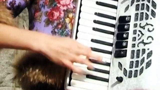 Maria Seleznveva - "Маруся" - Accordeon смотреть онлайн