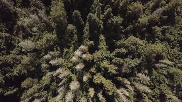 Одинцово-1 | Окружение | ПИК смотреть онлайн