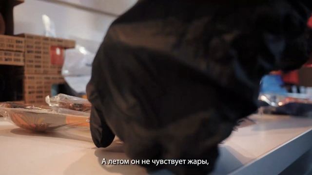 Мобильный маркет «Нижний 800» на базе автобуса «ГАЗель CITY» смотреть онлайн