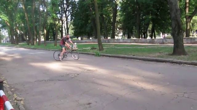 Джек-рассел-терьер на велосипеде) смотреть онлайн