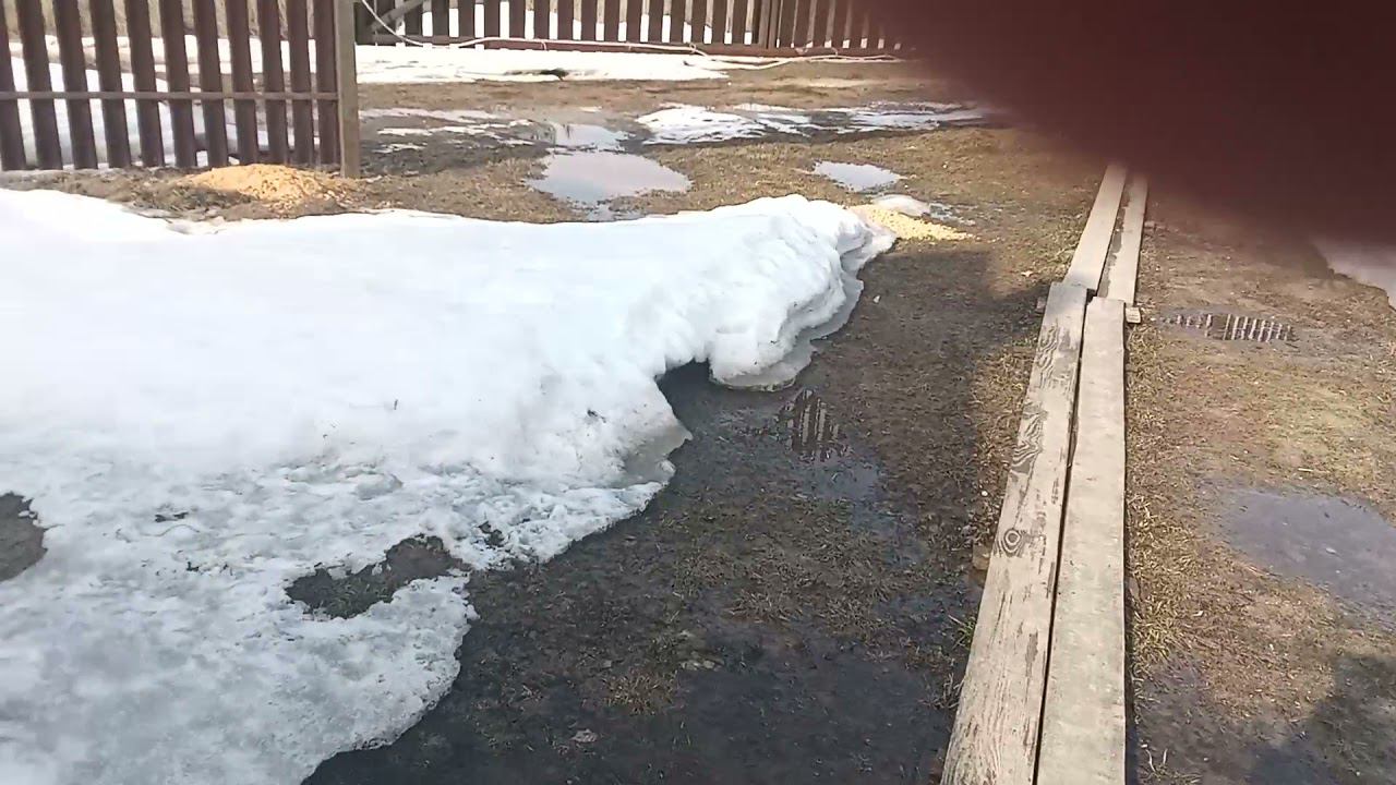 Денис в розыске Часть 2