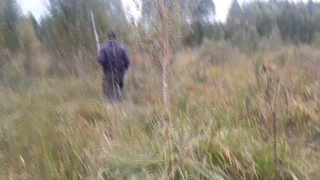Охота на утку с подхода. Попутный вальдшнеп (осень 2016) смотреть онлайн