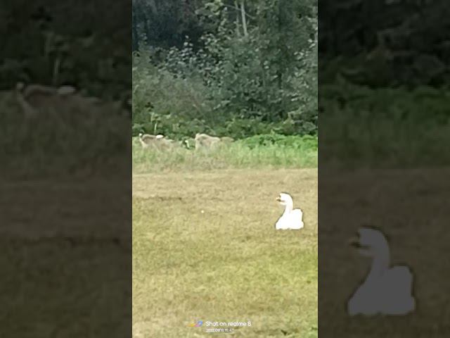 15 сентября 2022 г. смотреть онлайн