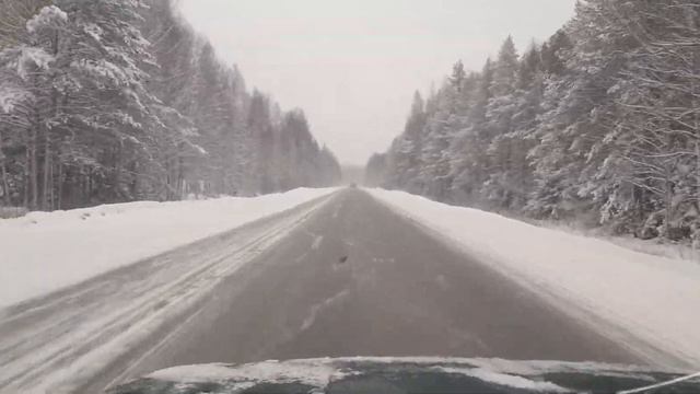 Трасса Екатеринбург Тагил смотреть онлайн