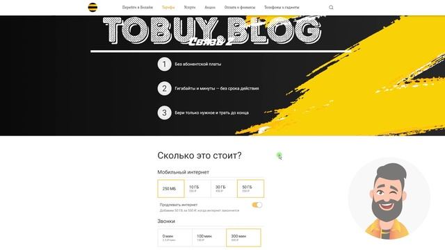 Полный обзор тарифа для умных смарт домов, камер, смарт часов. Билайн Z. смотреть онлайн