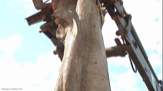 САМАЯ НЕОБЫЧНАЯ И ОТВРАТИТЕЛЬНАЯ ЕДА В МИРЕ. 11 ОТВРАТИТЕЛЬНЫХ БЛЮД КОТОРЫЕ СТРАШНО ЕСТЬ смотреть онлайн