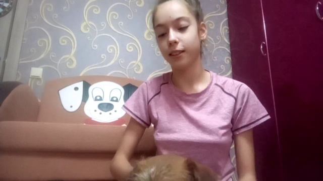 С чего всё начиналось? | ИСТОРИЯ О СОБАКЕ смотреть онлайн