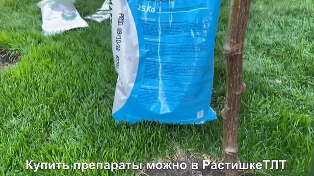 РОЗЫ. КАК И КОГДА ИСПОЛЬЗОВАТЬ УДОБРЕНИЕ ДЛЯ РОЗ. смотреть онлайн