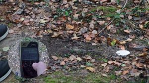 XP ORX 22,5 см X35 | Тест металлоискателя на глубину