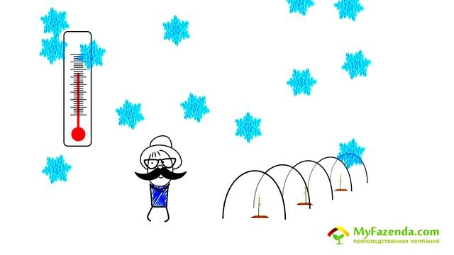 Теплицы из поликарбоната цена смотреть онлайн