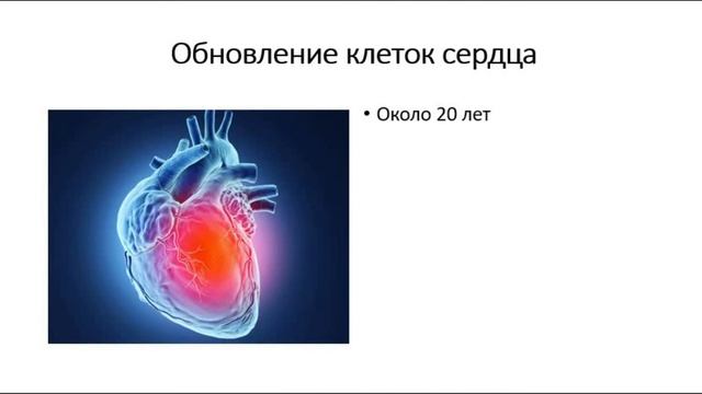 Массаж. Клетки организма. Омоложение смотреть онлайн