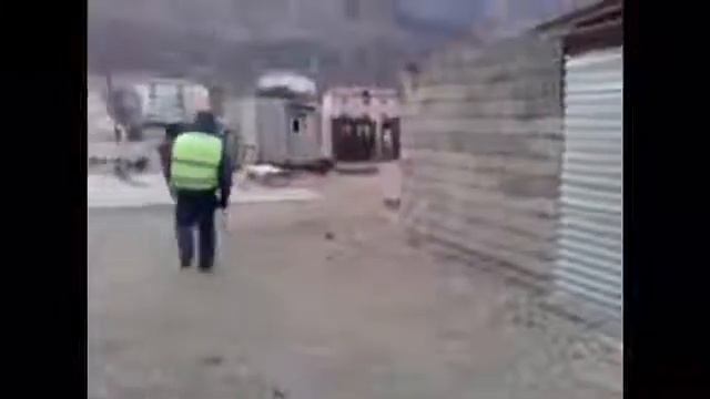 Прикол мент на осле смотреть онлайн