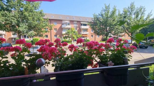 Всё я эгоистка ,переживаю только за свою опу смотреть онлайн