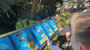 Loro Parque | Лоро Парк на Тенерифе. Дети счастливы!