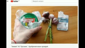 МОЧА - ПОЛЬЕМ?! Альтернативные способы удобрения орхидей.