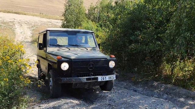 Mercedes Benz G230  W460