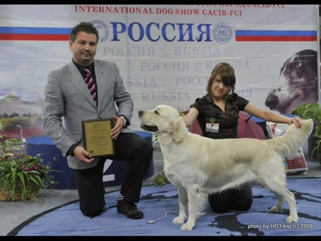  Выставка собак "Россия 2009" смотреть онлайн