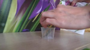 Когитум Как открыть ампулу