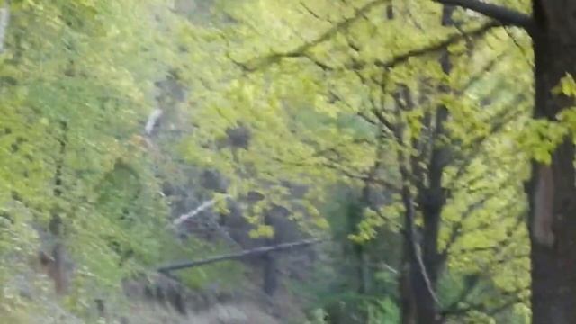 Прогулка на Долгушинский пруд смотреть онлайн