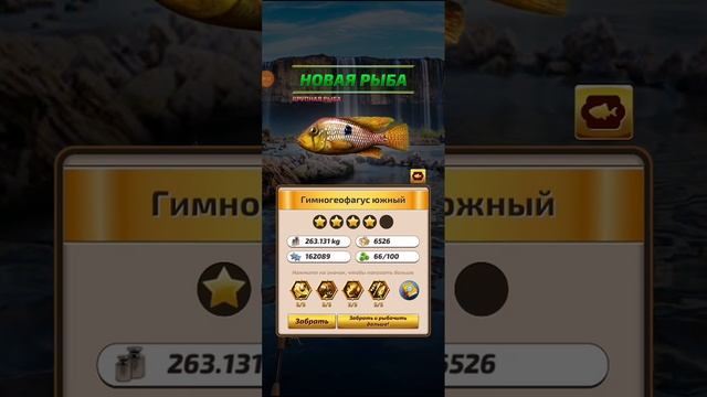 Let's Fish. Южная Америка. Водопады Игуасу смотреть онлайн