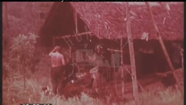 Jungle Camps Indonesia, 1970s - Film 99063 смотреть онлайн