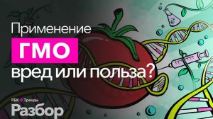 Все о ГМО. Опасны ли ГМО продукты? Несет ли вред модификация генов?